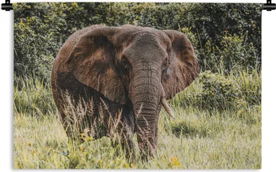 Produktbild von MuchoWow® Wandteppich Wandbehang Elefant - Natur - Gras 60x40 cm Tapisserie Dekoration Wandtuch - Wanddekorationen
