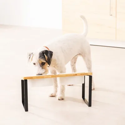 Produktbild von Navaris 2x Fressnapf aus Keramik mit Metall Ständer - Katzennapf Hundenapf 2 Stück im Set - Erhöhter Futternapf Katze Hund - Napf in Schwarz Natur