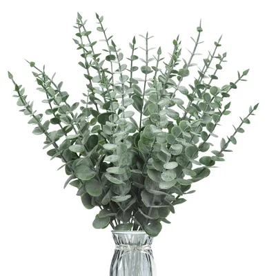 Produktbild von 30 künstliche Eukalyptusblätter, dekorative Eukalyptuszweige, künstliche Eukalyptusstängel, künstliche Silberdollar-Pflanze für Blumenarrangements, Tischdekorationen und Hochzeiten.