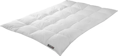 Produktbild von Badenia Daunen-Kassettendecke Trendline Comfort warm Größe 135x200 cm Winterdecke