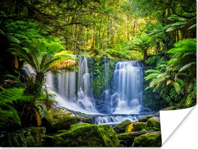 Produktbild von MuchoWow® Poster Dschungel - Wasserfall - Australien - Pflanzen - Natur 160x120 cm - Foto Plakat