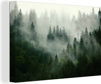 Produktbild von OneMillionCanvasses® - Leinwandbilder - 140x90 cm, Wald - Nebel - Bäume - Natur, Wandbilder Kunstdruck Wanddekoration - Foto auf Leinwand - Gemälde auf Holzrahmen