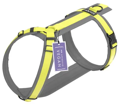 Hundegeschirr aus Nylon, verstellbar, gepolstert, Limette, L