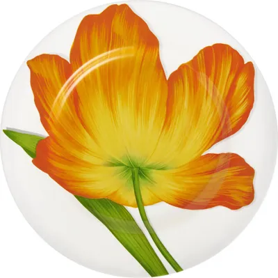 Immagine prodotto di Taitù Freedom - Piatto piano 27 cm, arancione