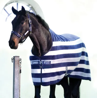 Obrázek produktu pro Horseware Rambo Deluxe Fleece - Witney Navy