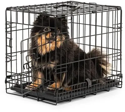 Productafbeelding van Transportkooi voor Kleine Honden 45 x 31 x 36 cm