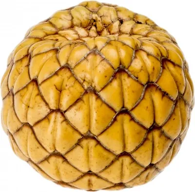 Produktbild von Rumbia Frucht ca. 1-3cm