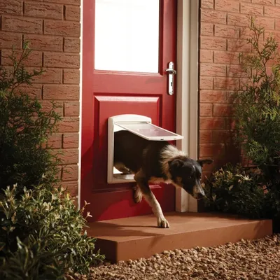 Image de PetSafe Porte pour animaux domestiques 2 voies 740 Moyen 26,7x22,8 cm Blanc
