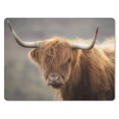 Produktbild von MuchoWow® Mauspad Mousepad Schottischer Highlander - Licht - Porträt 23x19 cm - Mousepads - Maus Mat - Pad - Mausunterlage - Schreibtischunterlage - Mauspad