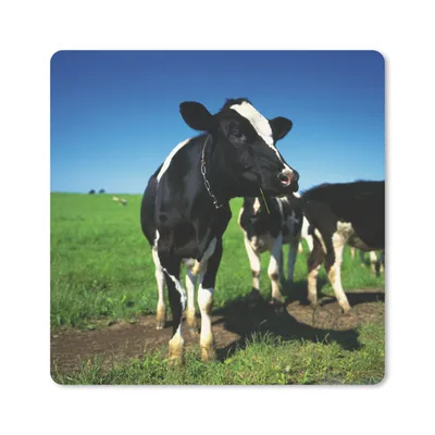 Produktbild von MuchoWow® Mauspad Mousepad Kuh - Gras - Tiere 20x20 cm - Mousepads - Maus Mat - Pad - Mausunterlage - Desk Mat - Bureauartikeln
