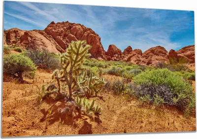 Produktbild von Wallario Herdabdeckplatte aus Glas, Größe 80 x 52 cm 1-teilig, Motiv Felsenwüste