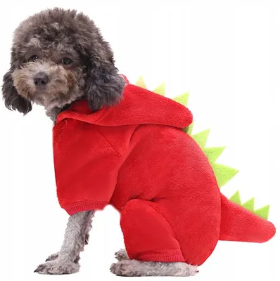 Obrázek produktu pro DKM Dinosaurus mikina pro psa červená velikost M
