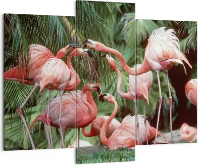 Produktbild von Bild auf Leinwand - Leinwandbild - 3 Teile - Palmen Herde Flamingos - 130x100cm - Wand Bild - Wanddeko - Wandbilder - Leinwanddruck - Bilder - Wanddekoration - Leinwand bilder - CB130x100-4804