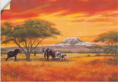 Produktbild von ARTland Wandbild, selbstklebend Elefanten Größe: 150x75 cm