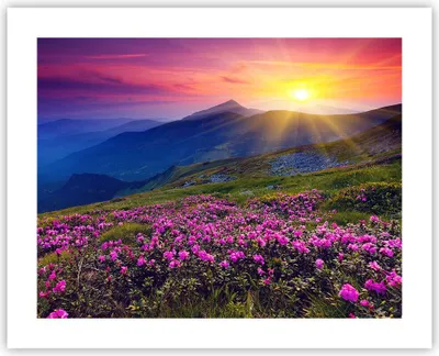 Produktbild von Poster - Poster ohne Rahmen - Wiese Berge Landschaft - 50x40 cm - Wand Bild - Wanddeko - Wandbilder - Kunstposter - Wandposter - Bilder - Kunstdruck - Wanddekoration - Wandbild - P2XAA50x40-2676