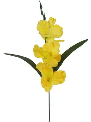 Produktbild von Künstliche Gladiole, gelb, 54 cm