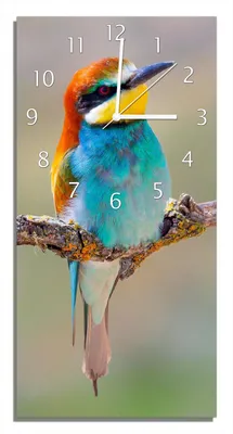 Produktbild von Wallario Design Wanduhr bedruckt, Größe 30 x 60 cm, Motiv: Vogel auf Ast
