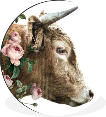 Produktbild von MuchoWow® Aluminium Wandkreis Schottischer Highlander - Schottische Kuh - Blumen Ø 30 cm Wanddeko Modern Wohnzimmer - Wand Bild - Wohnzimmer - Runde Bilder - Alubilder - Kunst für zu Hause - Aluminium - Wanddekoration