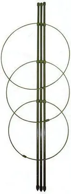 Produktbild von Pflanzenstütze 120CM BRADAS TYRP120