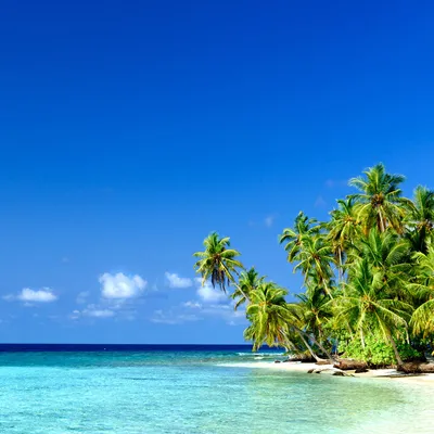 Produktbild von Wallario Möbeldesign / Aufkleber, geeignet für Ikea Lack Tisch - Blauer Himmel  weißer Strand  Palmen und das tiefblaue Meer in 55 x 55 cm