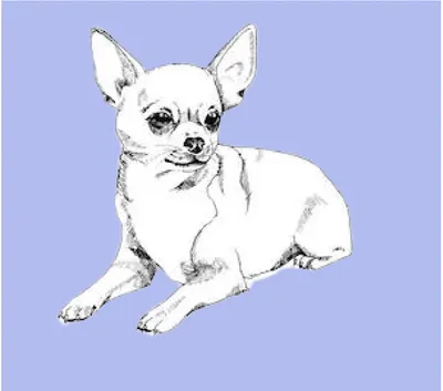 Produktbild von Vet Bed Silouet Chihuahua blau-weiß 100 x 75 cm