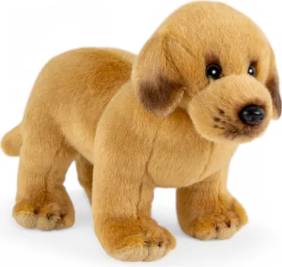 Zdjęcie produktu dla Carl Dick Labrador stojący ok. 20 cm, pluszak, miękka zabawka, pluszak 3679