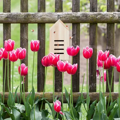 Produktbild von Insektenshaus aus unbehandeltem Holz für den Garten