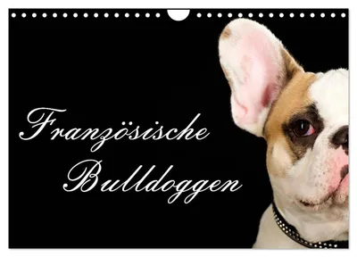 Produktbild von Französische Bulldoggen (Wandkalender 2027 DIN A4 quer), CALVENDO Monatskalender