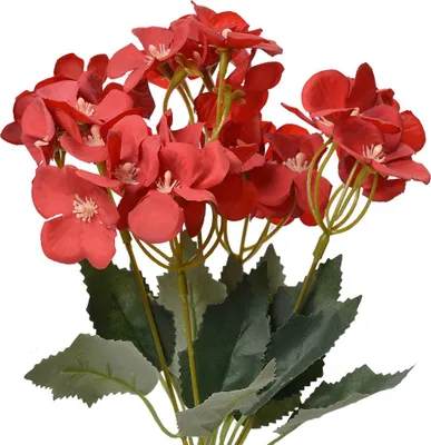 Produktbild von Clayre & Eef Kunstblume 30 cm Rot Kunststoff