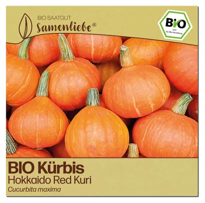 Produktbild von Samenliebe  Kürbis Samen | Red Kuri - nussiger - samenfestes  Saatgut