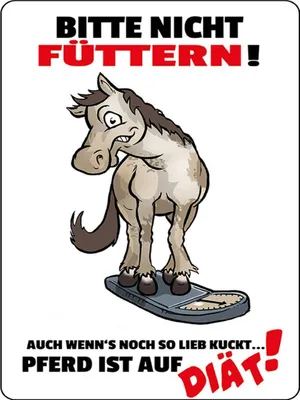 Produktbild von vianmo Holzschild 40x30 cm bitte nicht füttern Pferd Diät