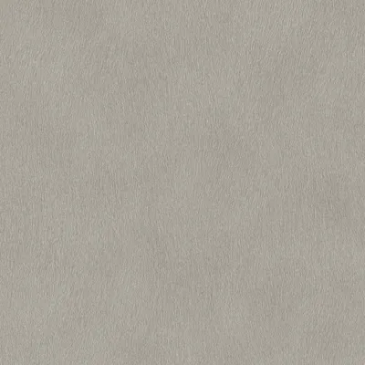 Produktbild von Vliestapete 751062 Tapete Uni Einfarbig 53 x 1005 cm Rasch African Queen III Grau