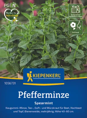 Produktbild von Kiepenkerl Kräutersamen Pfefferminz Spearmint für ca. 200 Pflanzen