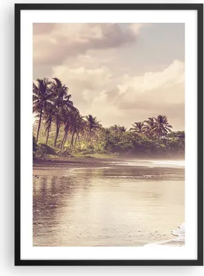 Produktbild von Gerahmtes Poster - Schwarzer Rahmen - Palmen Strand Wasser - 50x70 cm - Wand Bild - Wanddeko - Wandbilder - Kunstposter - Wandposter - Bilderrahmen - Bilder - Kunstdruck - P2BPA50x70-4917