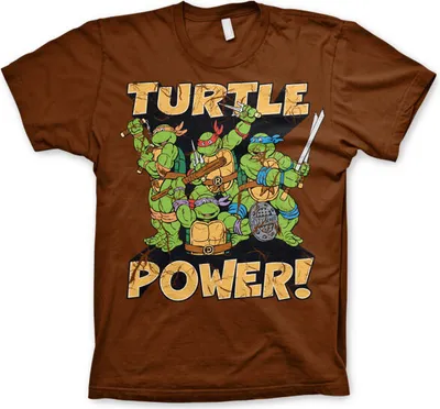 Produktbild von TMNT - Turtle Power! T-Shirt - Small - Brown