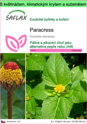 Obrázek produktu pro SAFLAX Garden to go - paracress - Acmella oleracea - 500 Semena - S květináčem, klimatickou poklicí a pěstebním substrátem