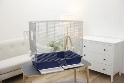 Image de Cage pour perruches ROSE 80 x 45 x 75 cm - rose - 1 pièce