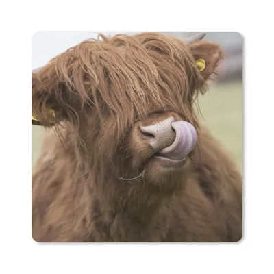 Produktbild von MuchoWow® Mauspad Mousepad Schottischer Highlander - Braun - Tiere 20x20 cm - Mousepads - Maus Mat - Pad - Mausunterlage - Desk Mat - Bureauartikeln