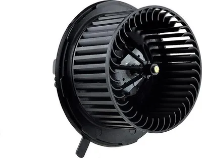 Produktbild von NTY Gebläsemotor Lüftermotor EWN-VW-000 Vorne für VW GOLF VI (5K1)