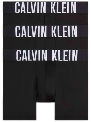 Image de Slip Calvin Klein 000NB3612A pour Homme