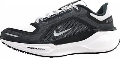 Imagen del producto de Zapatillas deportivas Nike Pegasus Gore-Tex para mujer, ideales para entrenamiento y running. Color: negro. Talla: EUR 40.5 | US 9