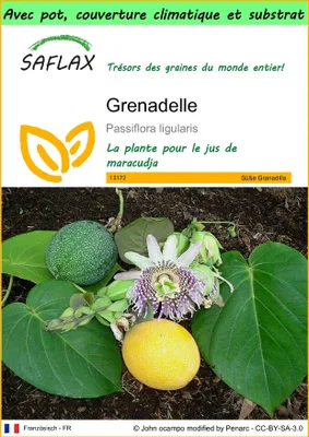 Image de SAFLAX Garden to go - Grenadelle - 20 graines - Passiflora