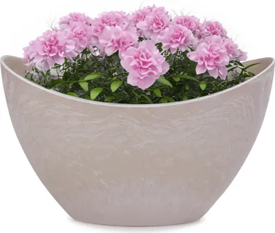 Immagine prodotto di Fioriera ovale 24 cm per esterni Ciotola decorativa sabbia beige marmorizzato