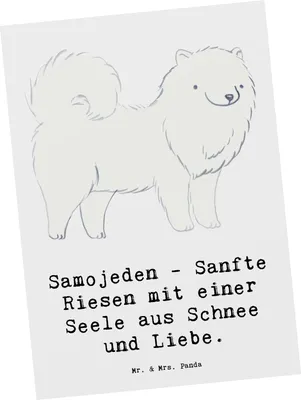 Produktbild von Mr. & Mrs. Panda Postkarte Samojede Liebe - Weiß - Geschenk, Hunderassen Beschreibung, Ansichtskarten, Schlittenhunde, Postkarten, Grußkarte, treue Hunde, bildkarte