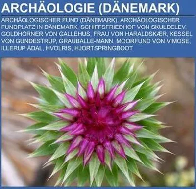 Produktbild von Archäologie (Dänemark)