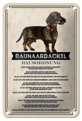 Produktbild von Blechschild Spruch 12x18cm Tiere Rauhaardackel Hausordnung Dekoration