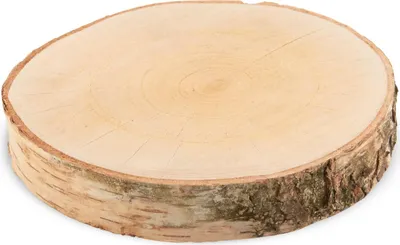 Produktbild von Grosse Baumscheiben 1 Stk. Dekoholz Holzscheiben Holzplatten 20 cm