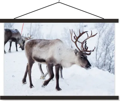 Produktbild von MuchoWow® Textilposter Ein Weihnachtsfoto von Rentieren entlang der Straßen von Kilpisjarvi, Finnland 150x100 cm mit schwarzem Rahmen - Schlafzimmer