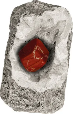 Produktbild von Minerały i skamieliny
