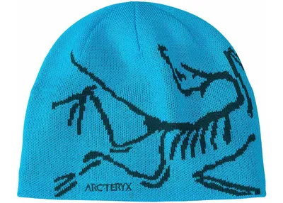 Produktbild von Arc'teryx Bird Head Toque Blau Tetra/Pytheas - X000006756